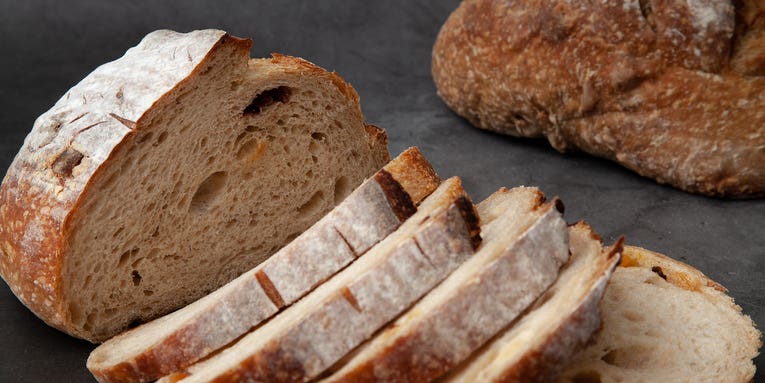 Sourdough under the microscope reveals microbes cultivated over generations