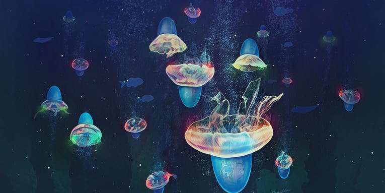 Hat-wearing cyborg jellyfish could one day explore the ocean depths