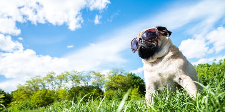 Are you wearing the right sunglasses? How to prevent eye sunburn.