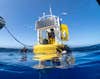 one scientist sits on a yellow buoy with two other scientists in the water with dive equiptment.