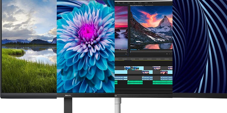 The best 4K monitors for 2024