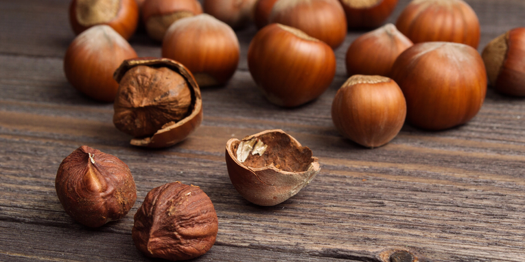 Humans have been eating hazelnuts for at least 6,000 years